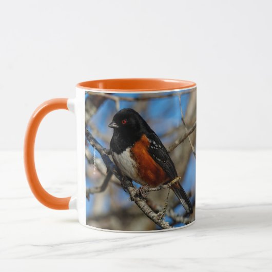 Atemberaubender Gepunkteter Towhey Songbird auf de Tasse (Links)