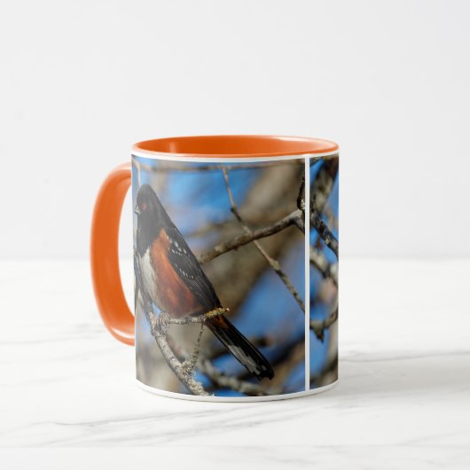 Atemberaubender Gepunkteter Towhey Songbird auf de Tasse (Vorderseite Links)