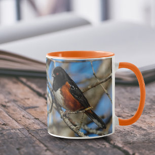 Atemberaubender Gepunkteter Towhey Songbird auf de Tasse
