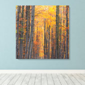 Atemberaubender Goldwald Leinwanddruck (Insitu (Holzboden))