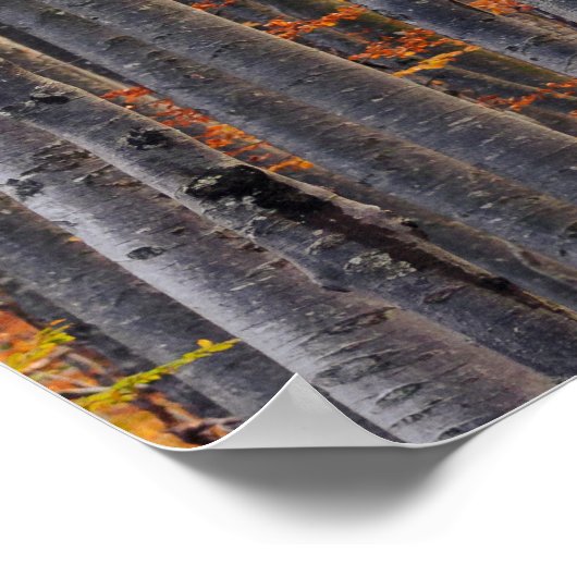 Atemberaubender Goldwald Poster (Ecke)