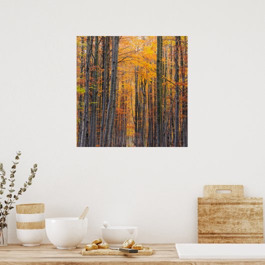 Atemberaubender Goldwald Poster (Küche)