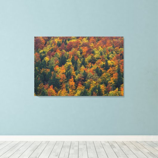 Atemberaubender Herbstwald Leinwanddruck (Insitu (Holzboden))