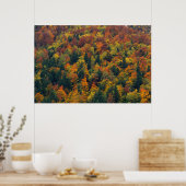 Atemberaubender Herbstwald Poster (Küche)