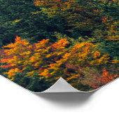 Atemberaubender Herbstwald Poster (Ecke)