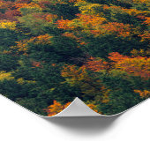 Atemberaubender Herbstwald Poster (Ecke)