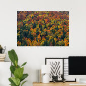 Atemberaubender Herbstwald Poster (Heimbüro)