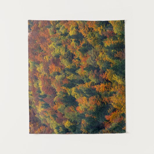 Atemberaubender Herbstwald Wandteppich (Vorderseite)