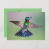 Atemberaubender Hummingbird in Costa Rica Postkarte (Vorne/Hinten)