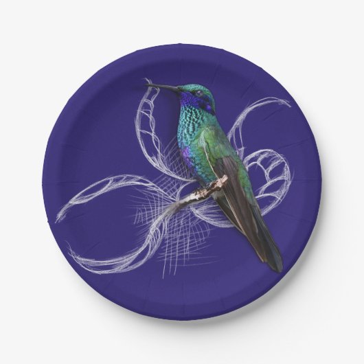 Atemberaubender Hummingbird - personalisieren durc Pappteller (Vorderseite)