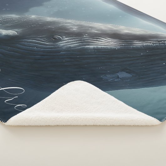 Atemberaubender Humpbackwal Sherpadecke (3/4)