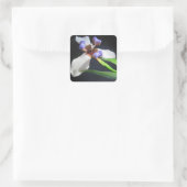 Atemberaubender Iris-Aufkleber Quadratischer Aufkleber (Tasche)