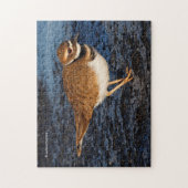 Atemberaubender Killdeer Shorebird auf den Icy Mud Puzzle (Vertikal)