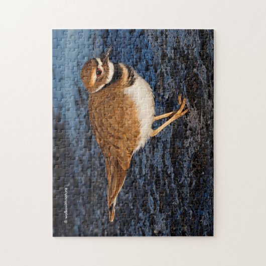 Atemberaubender Killdeer Shorebird auf den Icy Mud Puzzle (Vertikal)