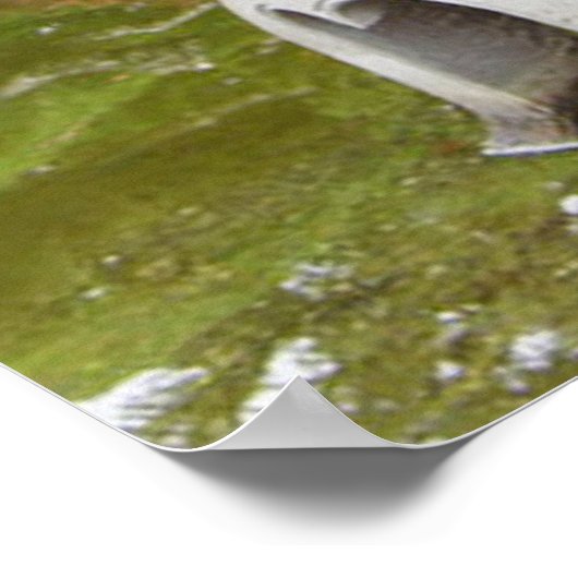 Atemberaubender Mediationsgarten Poster (Ecke)