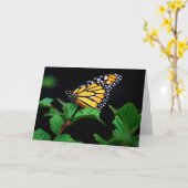 Atemberaubender Monarchschmetterling in Schattenka Karte (Gelbe Blume)