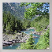 Atemberaubender Nationalwald Poster (Vorne)