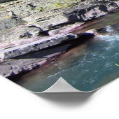 Atemberaubender Nationalwald Poster (Ecke)