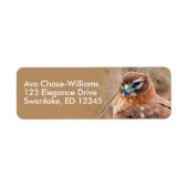 Atemberaubender Northern Harrier Hawk in Marshes (Vorne)