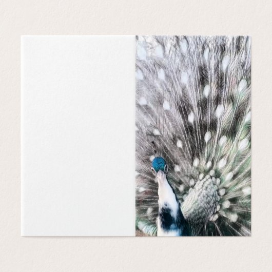 Atemberaubender Pfau - Blankoschild Set (Außenseite Aufgefaltet)