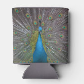 Atemberaubender Pfau Dosenkühler (Rückseite)