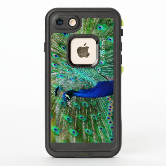 Atemberaubender Pfau-Fall
