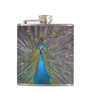 Atemberaubender Pfau Flachmann