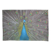 Atemberaubender Pfau Kissenbezug (Vorderseite)