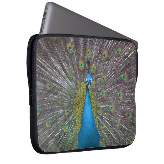 Atemberaubender Pfau Laptopschutzhülle (Vorne Rechts)