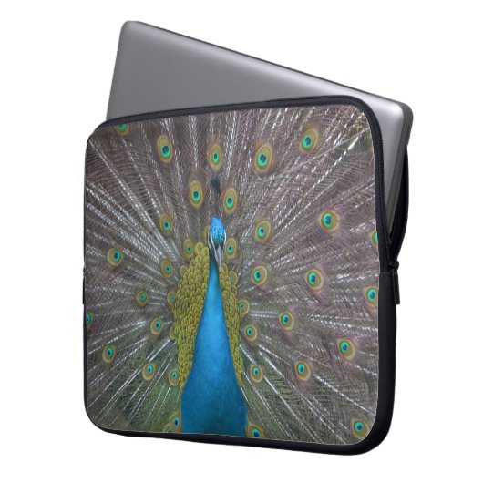 Atemberaubender Pfau Laptopschutzhülle (Vorderseite Links)