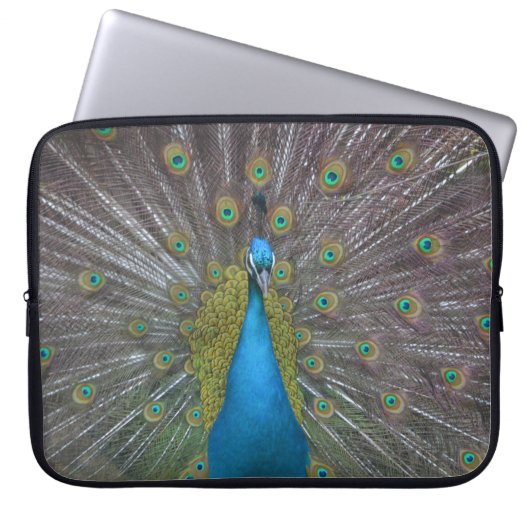 Atemberaubender Pfau Laptopschutzhülle (Vorderseite)