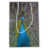 Atemberaubender Pfau Mittlere Geschenktüte (Vorderseite)