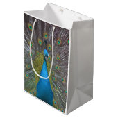 Atemberaubender Pfau Mittlere Geschenktüte (Vorderseite Schrägansicht)