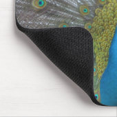 Atemberaubender Pfau Mousepad (Ecke)