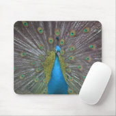 Atemberaubender Pfau Mousepad (Mit Mouse)