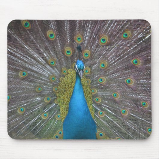 Atemberaubender Pfau Mousepad (Vorne)