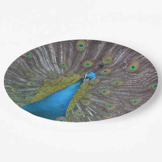 Atemberaubender Pfau Pappteller (Schrägansicht)