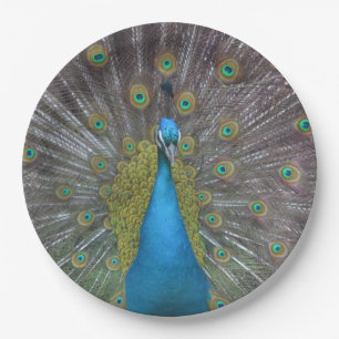 Atemberaubender Pfau Pappteller