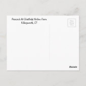 Atemberaubender Pfau Postkarte (Rückseite)