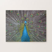 Atemberaubender Pfau Puzzle (Horizontal)