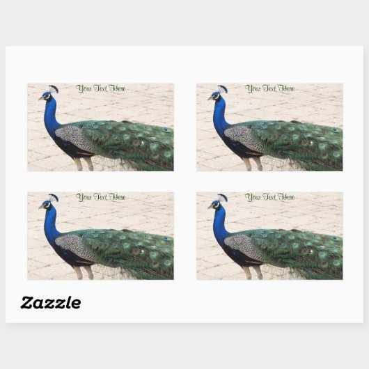 Atemberaubender Pfau Rechteckiger Aufkleber (Blatt)