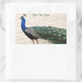 Atemberaubender Pfau Rechteckiger Aufkleber (Tasche)