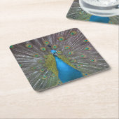 Atemberaubender Pfau Rechteckiger Pappuntersetzer (angewinkelt)