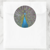 Atemberaubender Pfau Runder Aufkleber (Tasche)