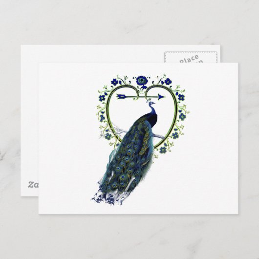 Atemberaubender Pfau und verzierter Blume Postkarte (Vorne/Hinten)
