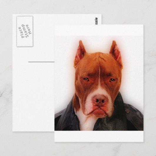 Atemberaubender Pfosten Postkarte (Vorne/Hinten)