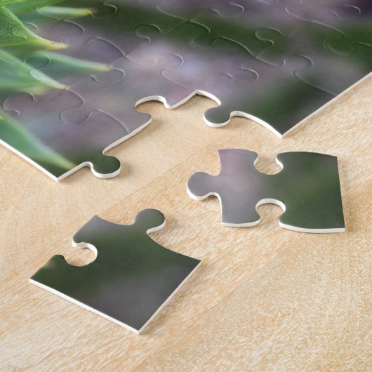 Atemberaubender Pine Monkey Puzzle Tree (Seite)