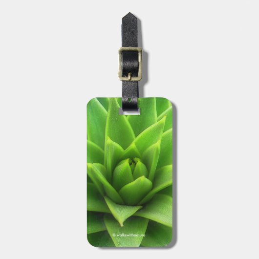 Atemberaubender Pine Monkey Puzzle Tree Gepäckanhänger (Vorderseite vertikal)