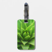 Atemberaubender Pine Monkey Puzzle Tree Gepäckanhänger (Rückseite vertikal)