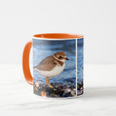 Atemberaubender Plover-Shorebird am Strand Tasse (Vorderseite Links)